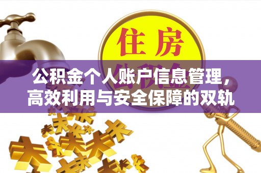 六甲公积金个人账户信息管理，高效利用与安全保障的双轨并行