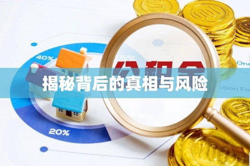 六甲揭秘背后的真相与风险