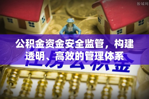 六甲公积金资金安全监管，构建透明、高效的管理体系