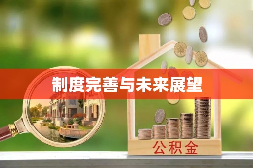 六甲制度完善与未来展望