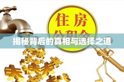 六甲揭秘背后的真相与选择之道