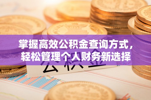 六甲掌握高效公积金查询方式，轻松管理个人财务新选择