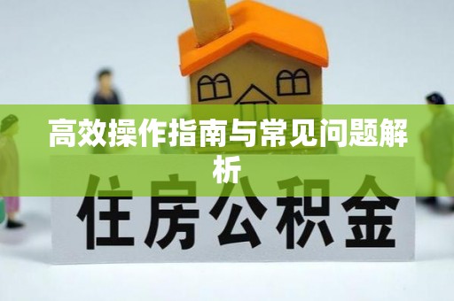 六甲高效操作指南与常见问题解析