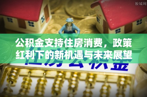 六甲公积金支持住房消费，政策红利下的新机遇与未来展望