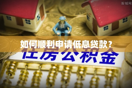 六甲如何顺利申请低息贷款？