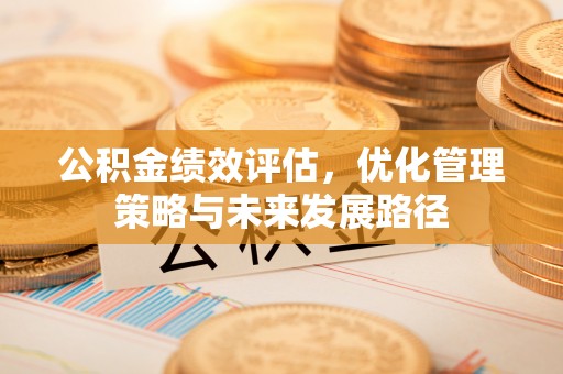 六甲公积金绩效评估，优化管理策略与未来发展路径
