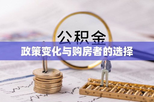 六甲政策变化与购房者的选择