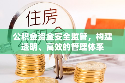六甲公积金资金安全监管，构建透明、高效的管理体系
