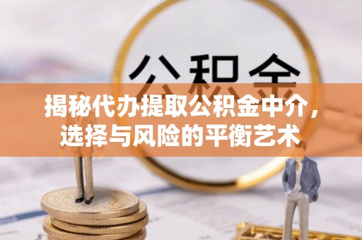六甲揭秘代办提取公积金中介，选择与风险的平衡艺术