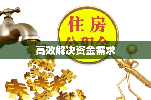 六甲高效解决资金需求