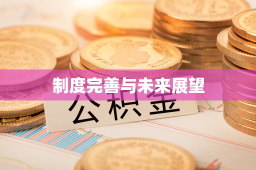 六甲制度完善与未来展望