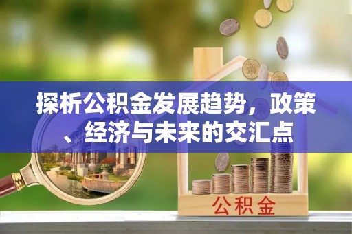 六甲探析公积金发展趋势，政策、经济与未来的交汇点
