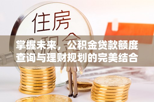 六甲掌握未来，公积金贷款额度查询与理财规划的完美结合