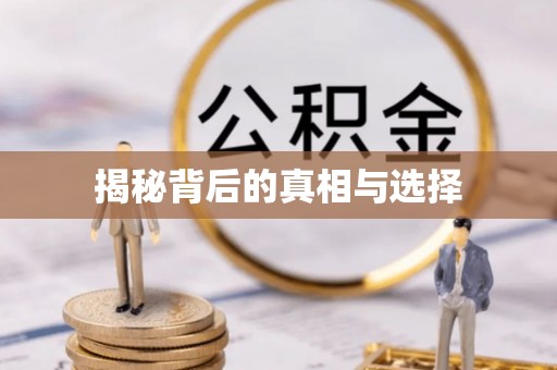 六甲揭秘背后的真相与选择