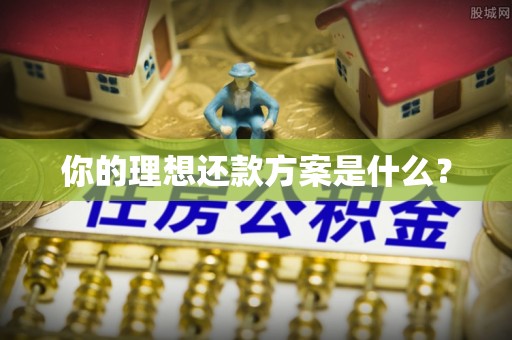 六甲你的理想还款方案是什么？