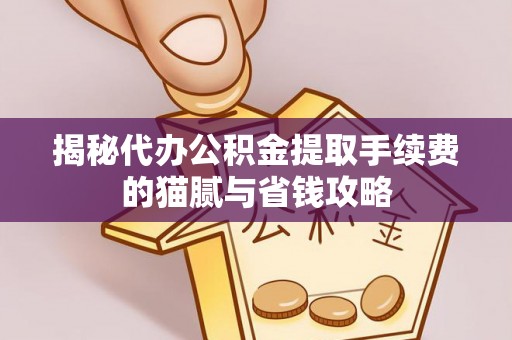 六甲揭秘代办公积金提取手续费的猫腻与省钱攻略