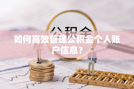 六甲如何高效管理公积金个人账户信息？