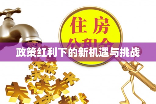 六甲政策红利下的新机遇与挑战