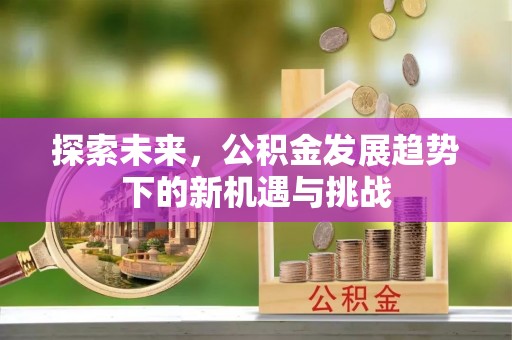 六甲探索未来，公积金发展趋势下的新机遇与挑战