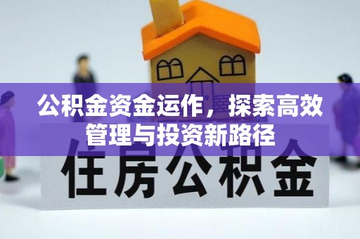 六甲公积金资金运作，探索高效管理与投资新路径