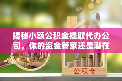 六甲揭秘小额公积金提取代办公司，你的资金管家还是潜在风险？