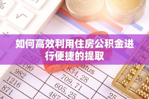 六甲如何高效利用住房公积金进行便捷的提取