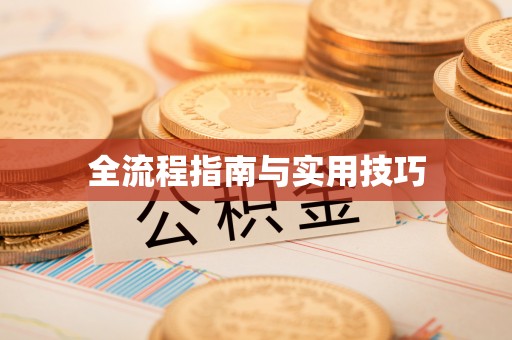 六甲全流程指南与实用技巧