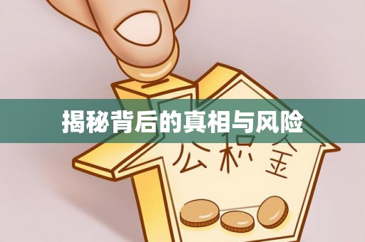 六甲揭秘背后的真相与风险
