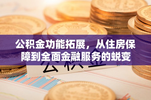 六甲公积金功能拓展，从住房保障到全面金融服务的蜕变