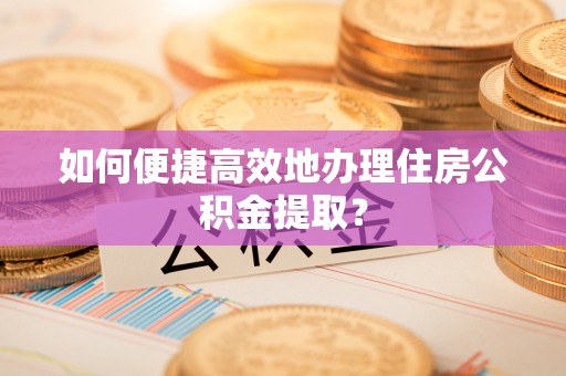 六甲如何便捷高效地办理住房公积金提取？