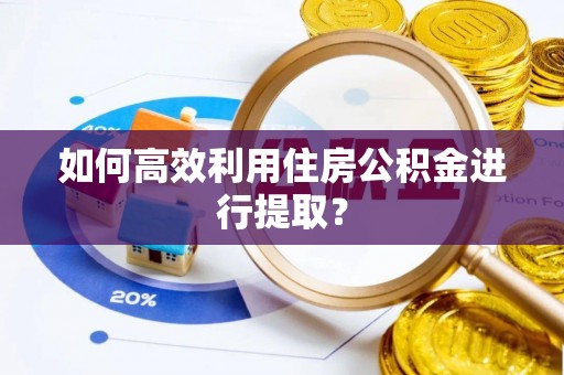 六甲如何高效利用住房公积金进行提取？