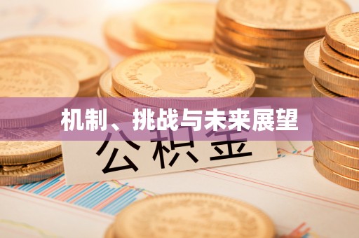 六甲机制、挑战与未来展望