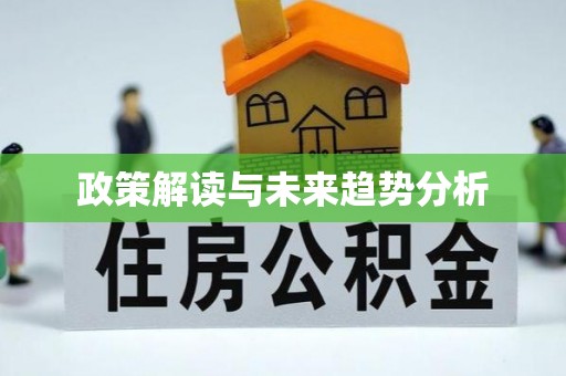 六甲政策解读与未来趋势分析