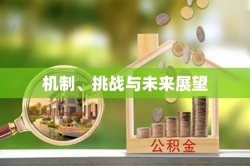 六甲机制、挑战与未来展望